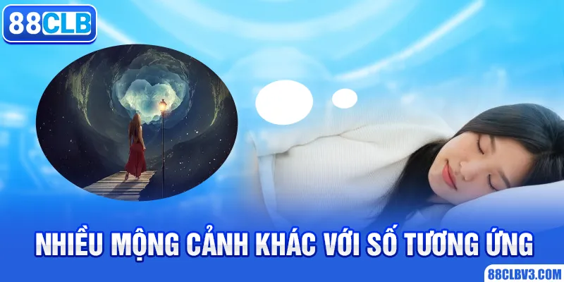 Mơ Thấy Nhện - Ý Nghĩa Và Cặp Số May Mắn Trong Lô Đề 2026 Nhiều mộng cảnh khác với số tương ứng